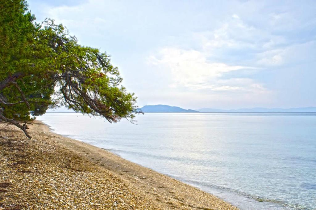 Sithonia